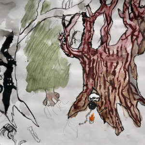 Meet the Three Ancient Trees