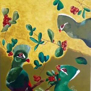 Knynsa Turaco Bird Forest