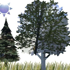 (untitled 3)