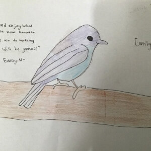 (untitled 25)