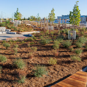 Irma Coulson Public School (2)