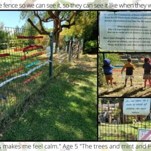 Our Vision of a world where all children can enjoy nature