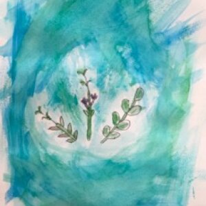 (untitled 44)