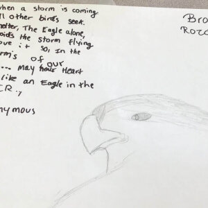 (untitled 14)