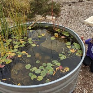 Discovery Hill Outdoor Learning Center
