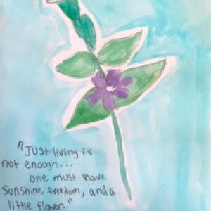 (untitled 84)