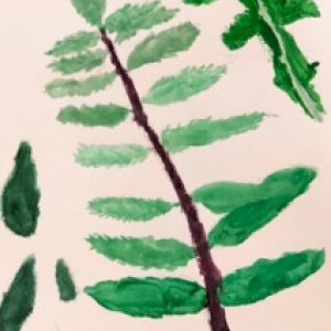 (untitled 32)