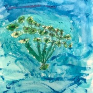 (untitled 80)