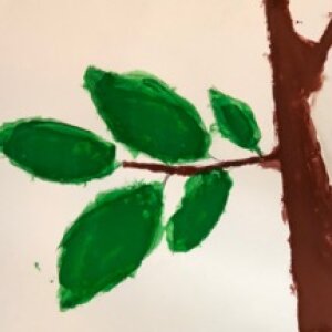 (untitled 27)