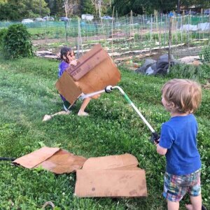Seedlings