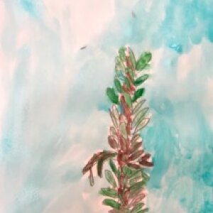 (untitled 93)