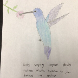 (untitled 26)