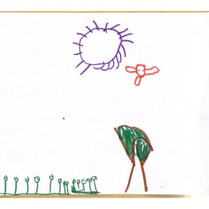 (untitled 16)