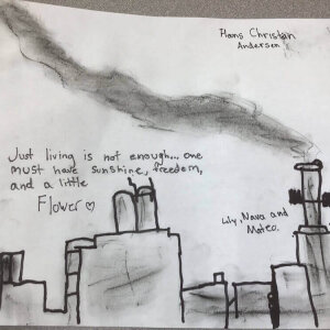 (untitled 52)