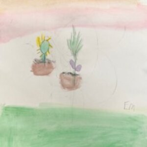 (untitled 24)