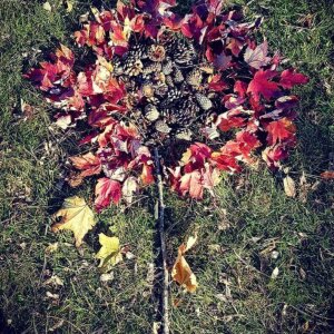 Remembrance Poppy