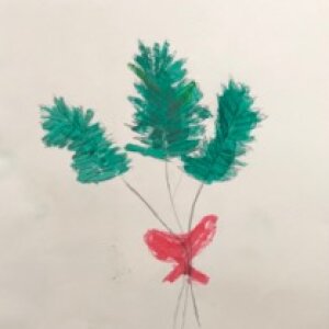 (untitled 62)