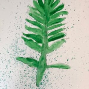 (untitled 86)