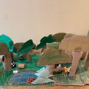 The Recycled Forest