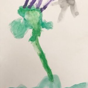(untitled 8)