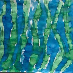 The Seaweed Forest