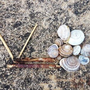 Snails