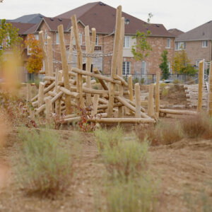 Irma Coulson Public School