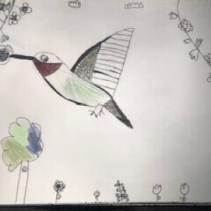 Ruby Throated Hummingbird