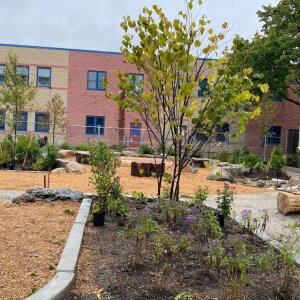 Bailey Baxter Green Schoolyard