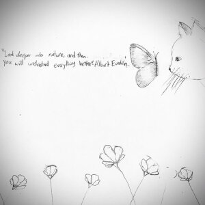 (untitled 43)