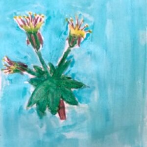 (untitled 18)