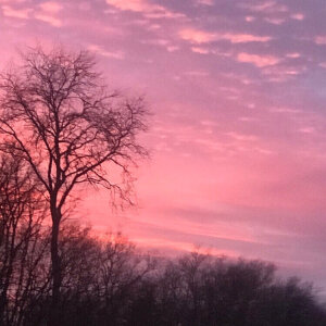 The beauty of the world