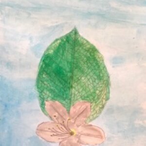 (untitled 58)