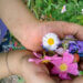 Girl holding flowers.