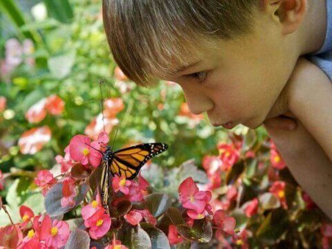 A BUILDING THAT GIVES BIRTH: Your Home, School or Workplace Can Help Restore a Threatened Species!