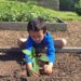 Child Gardening