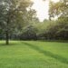 park