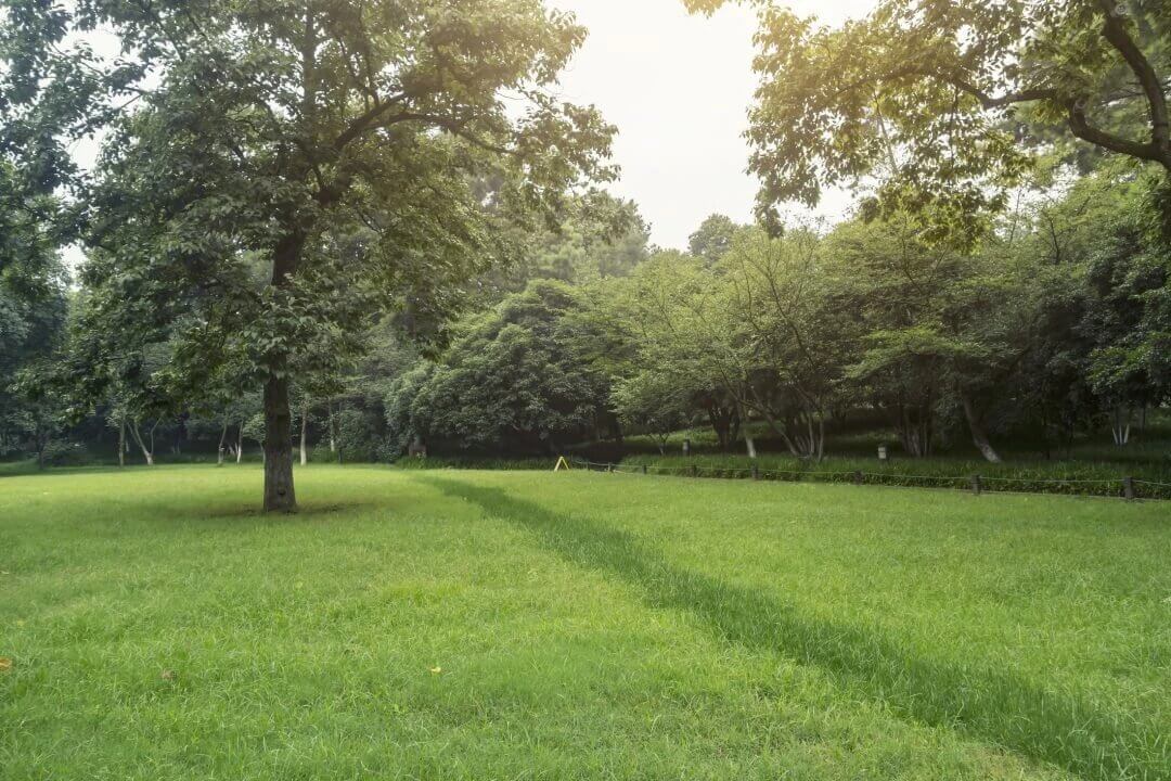 park