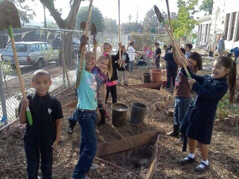 SCHOOL OF NATURE: 8 Ways to Jumpstart a Great School Year with a Dose of Vitamin N