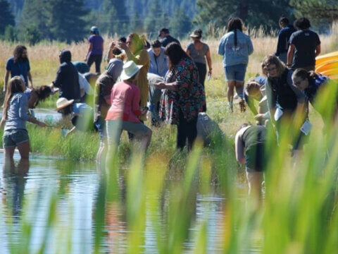 COVID-19 Could Close Three-Fourths Of California’s Outdoor Science Education Programs