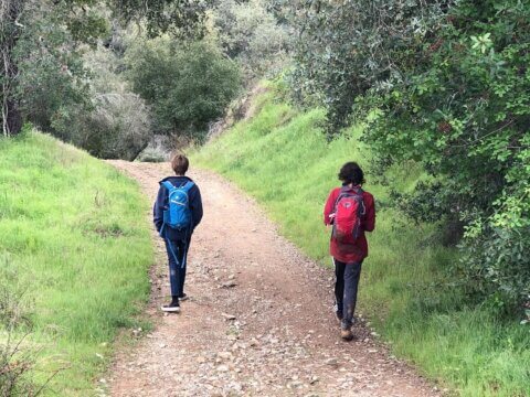Family Nature Clubs: Connecting to Nature—and Each Other— Now