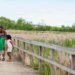 Group hiking on bridge.