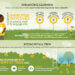 Green Schoolyards and Academic Outcomes