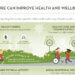 Health & Wellness Thumbnail