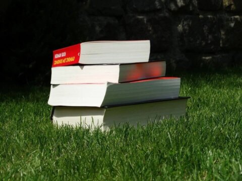 How Public Libraries Are Helping Us Find Nature During the Crisis