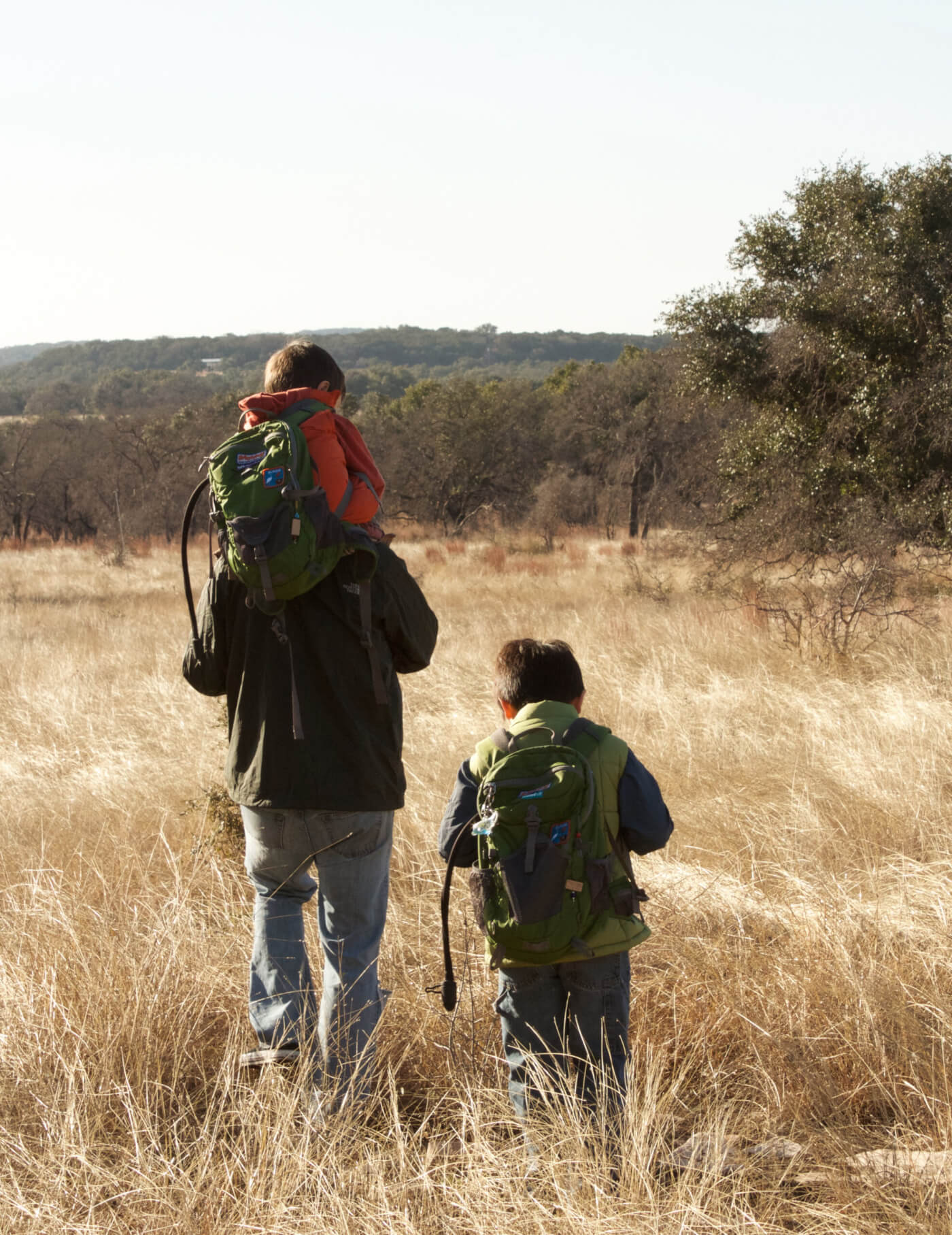 father and two children, one on fathers shoulders and one walking next to him, walking through open meadow