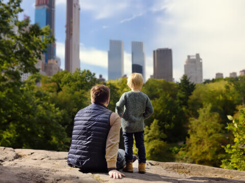 Imagining De-Central Park