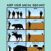 Keep Your Distance Chart