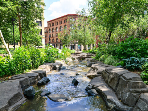 Twin Cities leaders bring local insight and connections to Nature Everywhere Conference