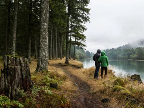 More Time Out in Nature Is an Unexpected Benefit of the COVID-19 Sheltering Rules